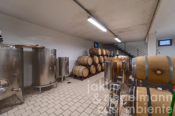 Image No.86-7 Bed Country House for sale