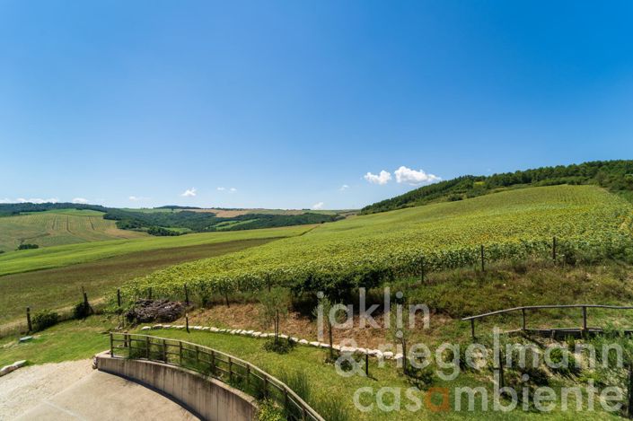 Image No.76-7 Bed Country House for sale