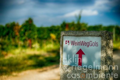 64afe51c57612m123301