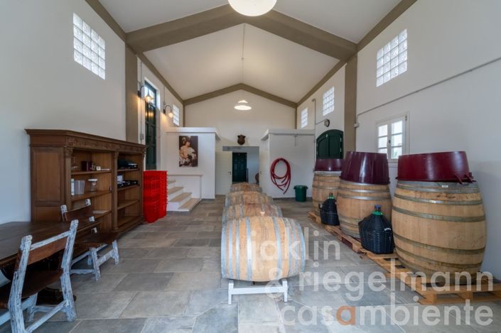 Image No.136-10 Bed Country House for sale