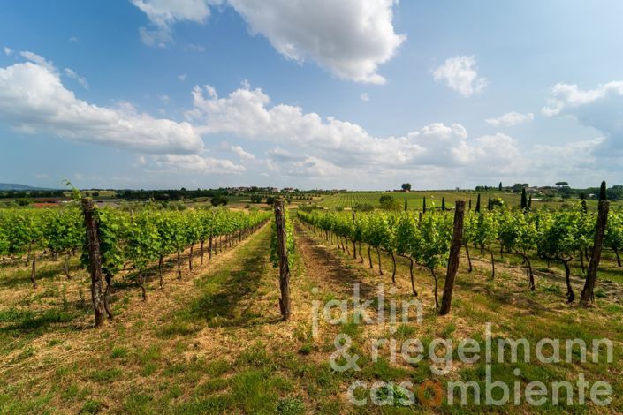 Image No.58-10 Bed Country House for sale