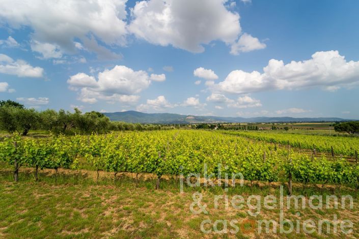 Image No.59-10 Bed Country House for sale