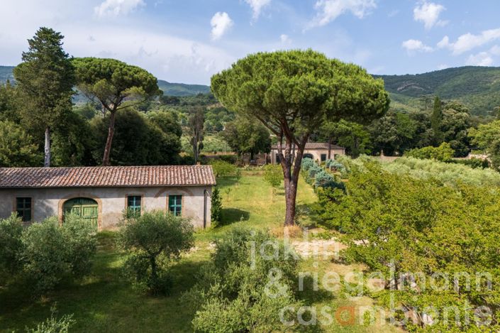 Image No.19-10 Bed Villa for sale