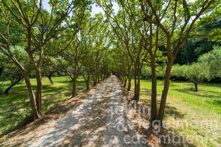 Image No.24-10 Bed Villa for sale