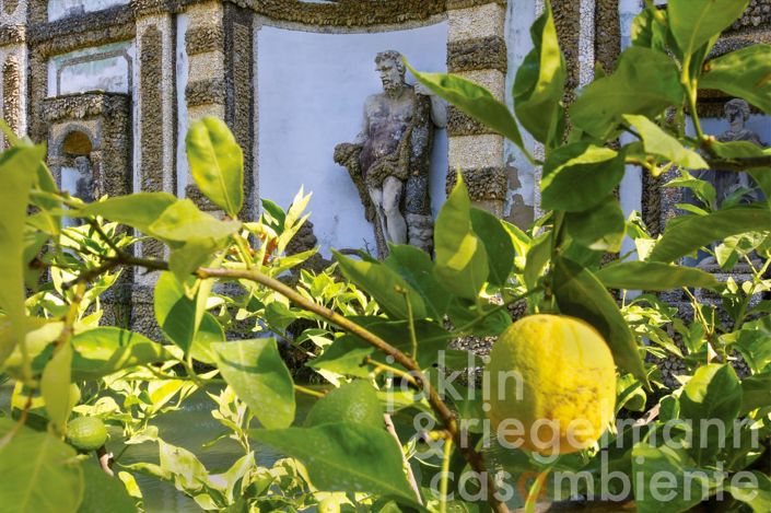 Image No.39-10 Bed Villa for sale