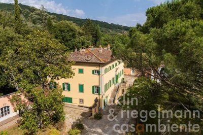 68651558afed9m362104