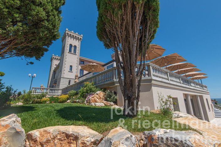 Image No.18-Châteaux de 19 chambres à vendre à Livorno