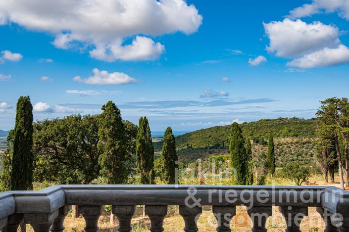 Image No.32-Châteaux de 19 chambres à vendre à Livorno