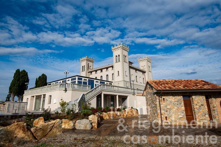 Image No.9-Châteaux de 19 chambres à vendre à Livorno