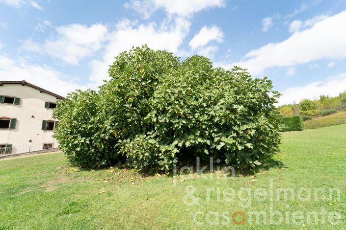 Image No.27-18 Bed Farmhouse for sale