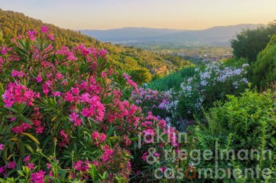 69694625588f0m365914