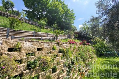 69694628a76fcm365915