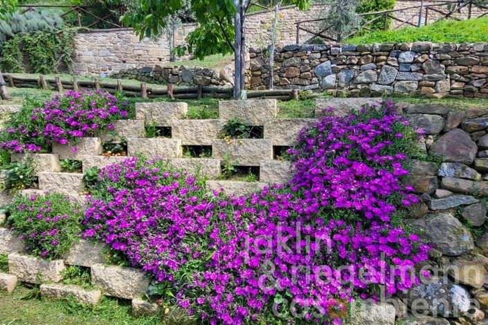 Image No.16-3 Bed Country House for sale