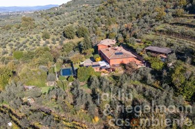 697107dca5861m364904