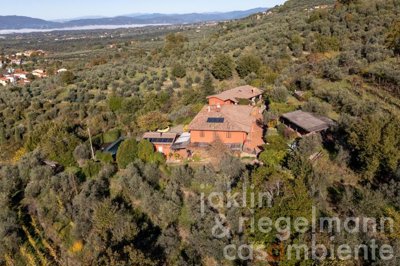 697107eab98b2m364905