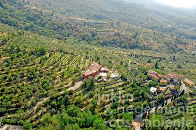 697107fd78b9dm364906