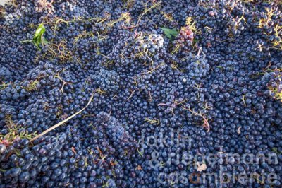 698200d1e51cfm125501