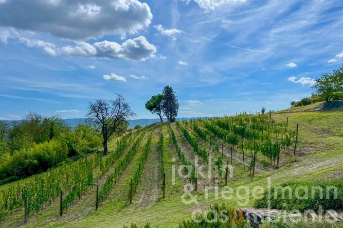 Image No.20-8 Bed House for sale