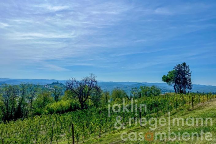 Image No.21-8 Bed House for sale