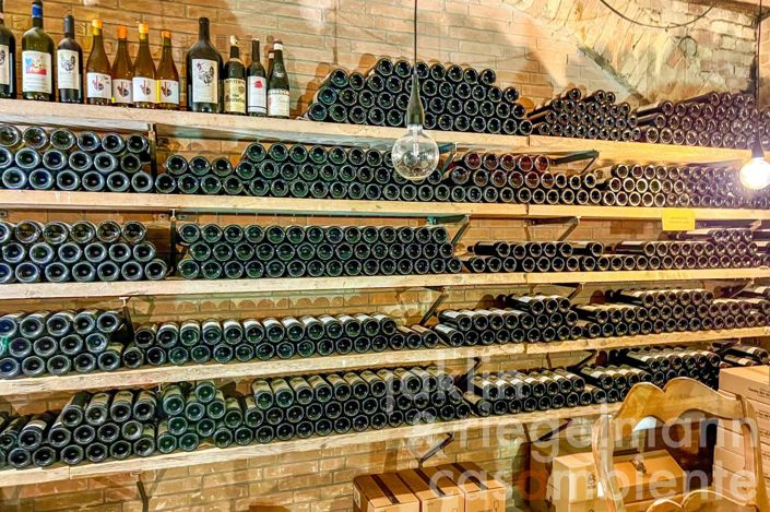 Image No.50-8 Bed House for sale