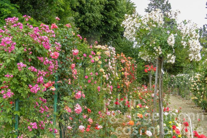 Image No.10-7 Bed Villa for sale