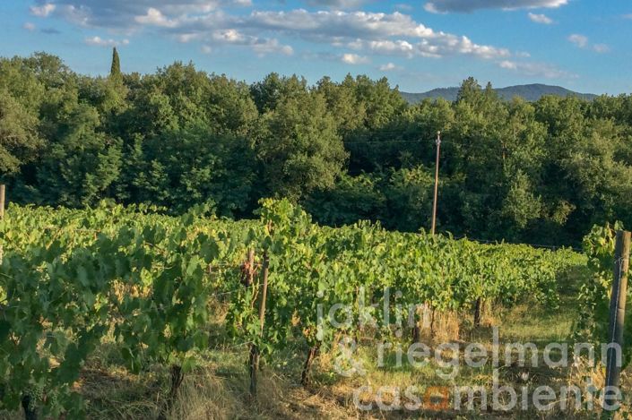 Image No.38-7 Bed Villa for sale