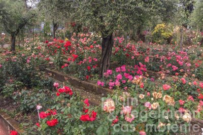 69b449899760am3662114