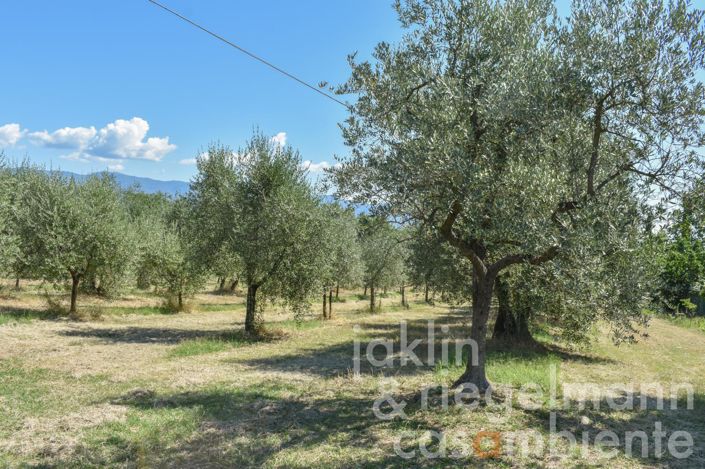 Image No.40-7 Bed Villa for sale