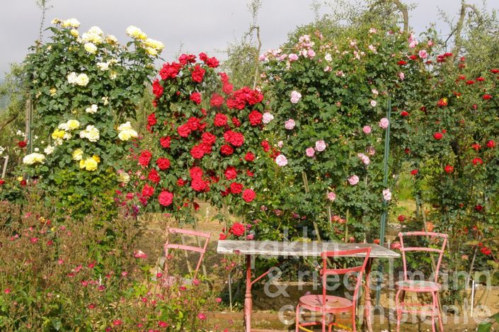 Image No.6-7 Bed Villa for sale