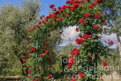 69b44993cb7f0m3662119