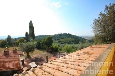 6994760ccf784m364209