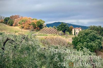 69c2b50cbdf76m367010