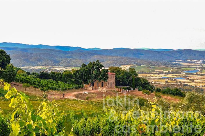 Image No.11-3 Bed Country House for sale