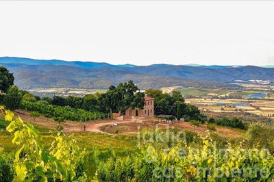 69c2b5164a889m367013