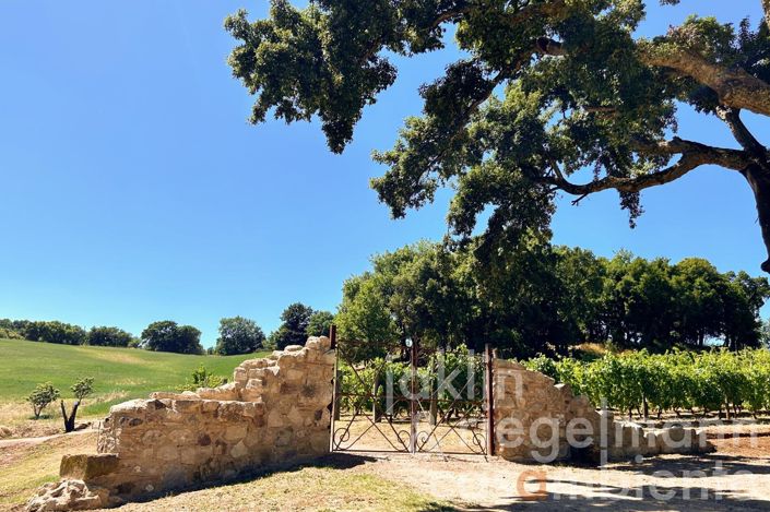 Image No.12-3 Bed Country House for sale