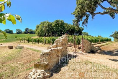 69c2b522e6dc1m367017