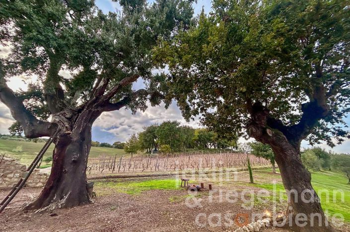 Image No.15-3 Bed Country House for sale