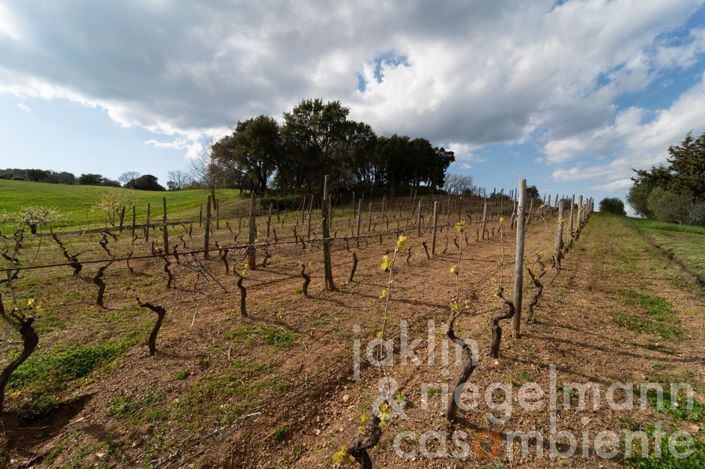 Image No.28-3 Bed Country House for sale