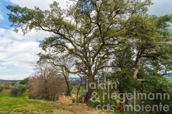 Image No.29-3 Bed Country House for sale