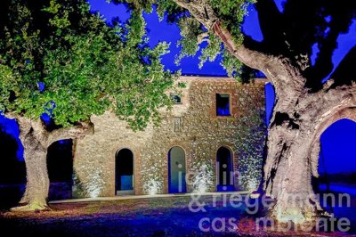 69c2b4fd4de2dm367004