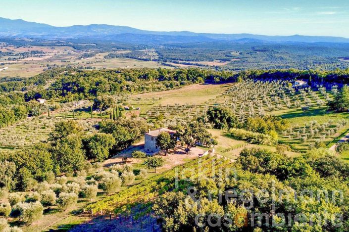 Image No.7-3 Bed Country House for sale