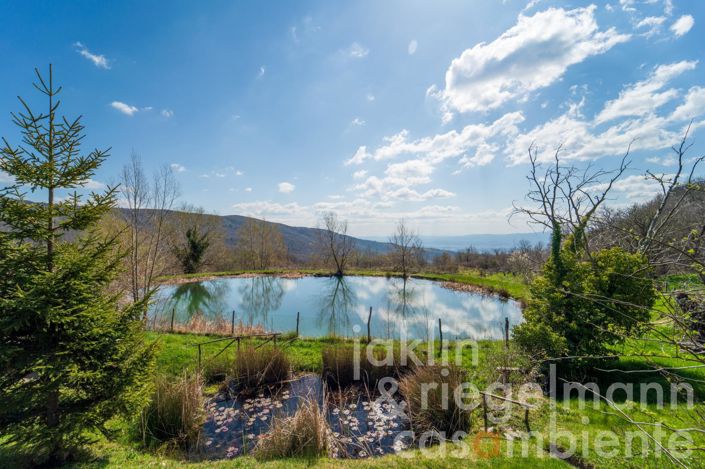 Image No.11-Maison de campagne de 19 chambres à vendre à Castelfranco di Sopra