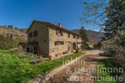 69c1078eed137m367402