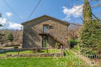 69c107ce7b249m367406