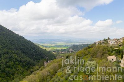 69c3c78325010m441132