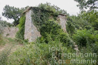 69c3c76a71d50m441118