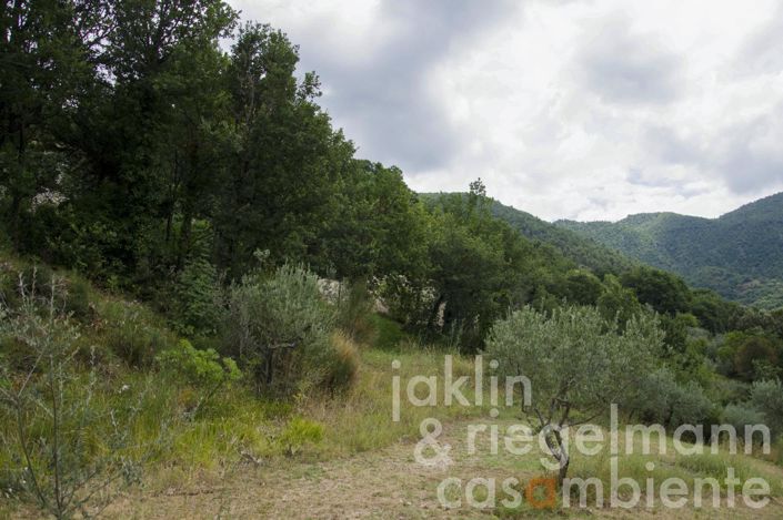 Image No.7-3 Bed Country House for sale