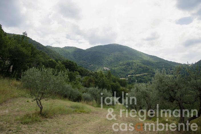 Image No.8-3 Bed Country House for sale