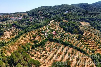 69c81bee610c4m366309