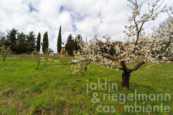 Image No.34-3 Bed Country House for sale